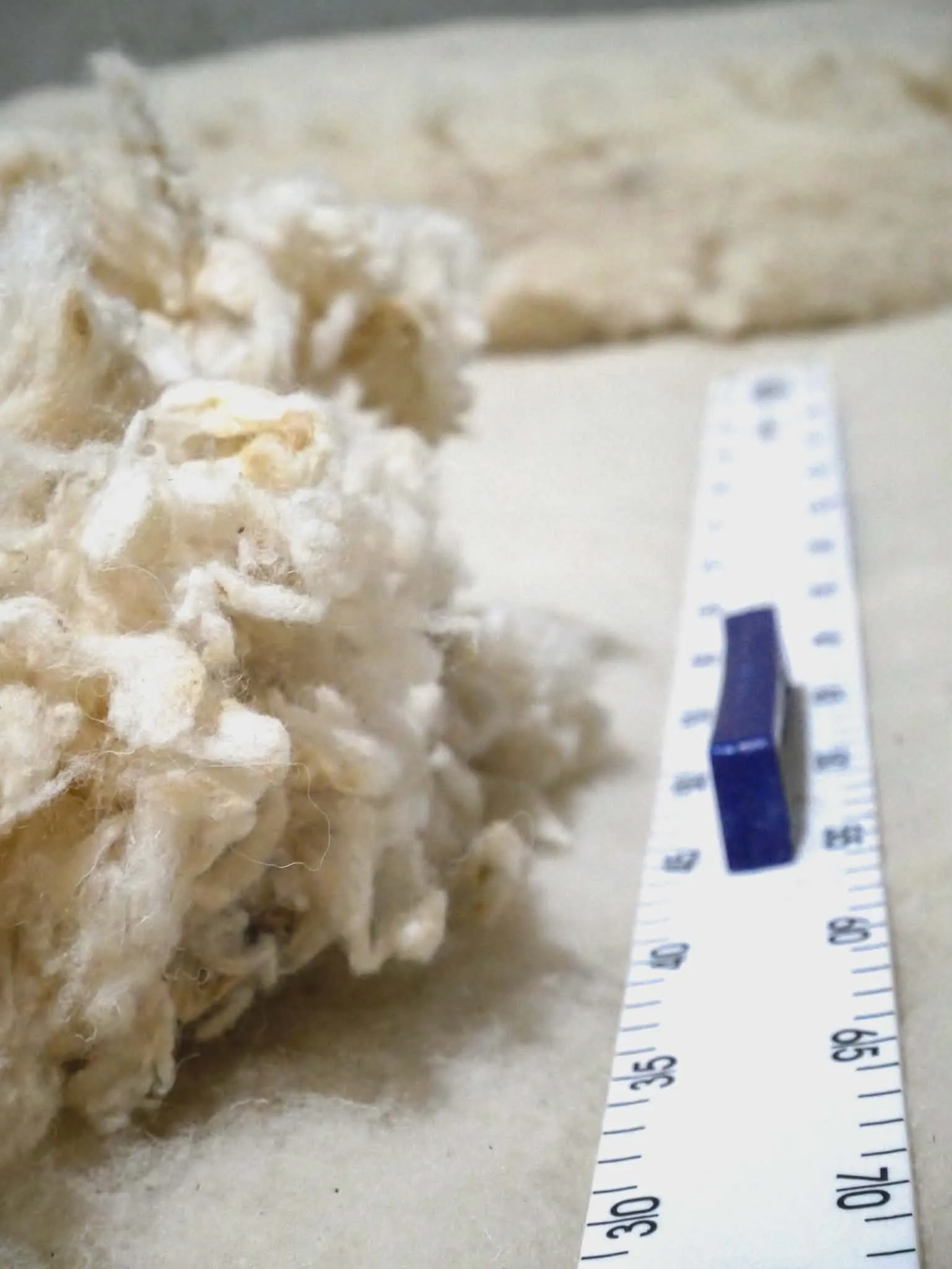 Processed Fibers